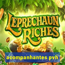 acompanhantes pvh